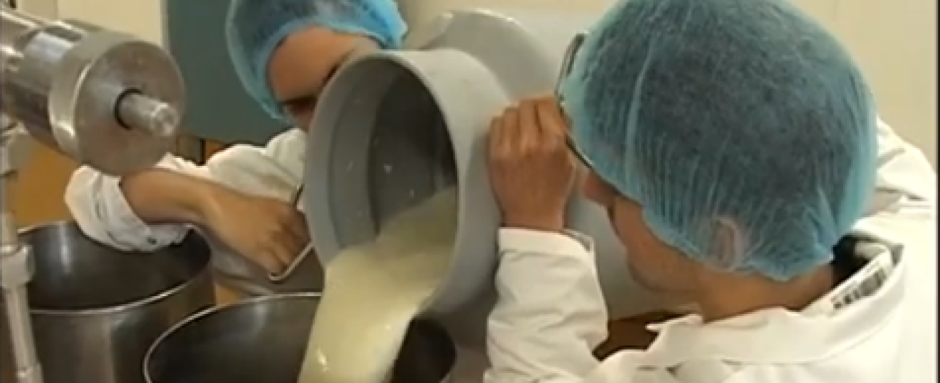 Filière agro alimentaire et fromagère